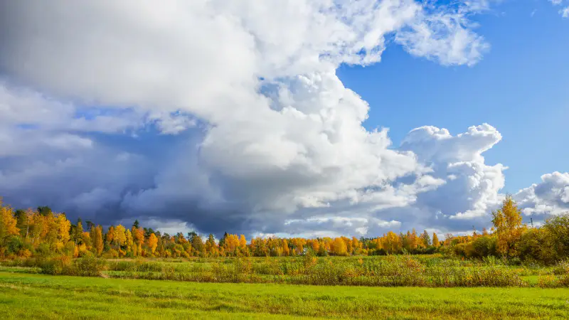 От зимы до лета: Казахстан ждет погодные контрасты! Павлодаре