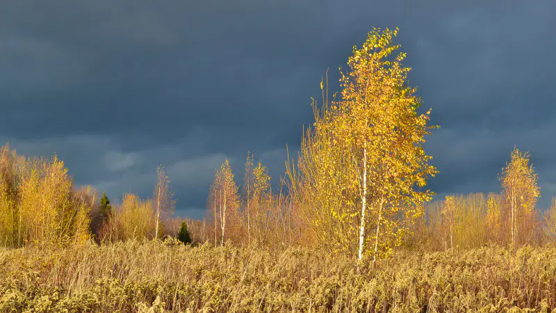 Циклон обрушился на Казахстан: резкое похолодание и дожди ожидаются 27 сентября Павлодаре