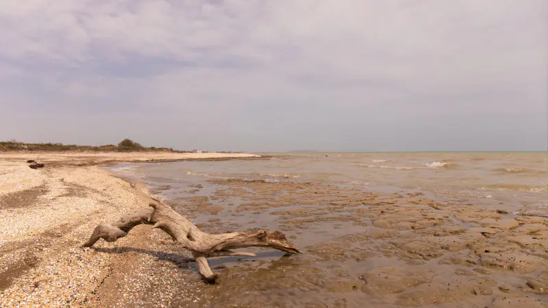 Каспийская ситуация: Токаев поднимает вопрос на саммите ШОС в Китае Павлодаре