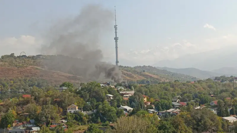 Пожар возле телебашни 'Коктобе' в Алматы: очевидцы сообщают о клубах дыма и огне Павлодаре