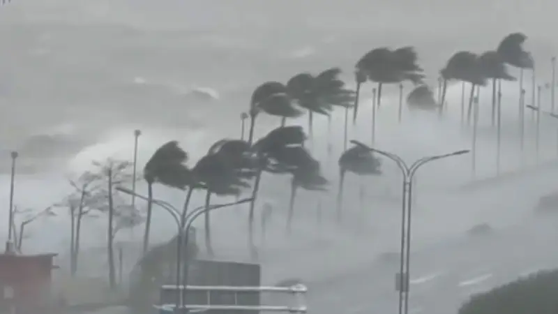 Тайфун 'Рагаса' унес жизни 14 человек в Тайване и южном Китае, став самым сильным за десятилетие Павлодаре