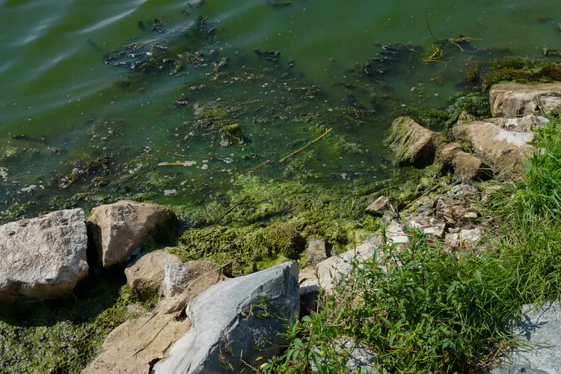 Ил и мусор прибивает к берегу, Ишим, Астана