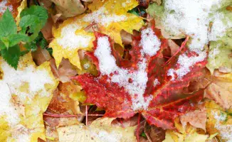 Погода в Казахстане 20 сентября: похолодание и снег в городах