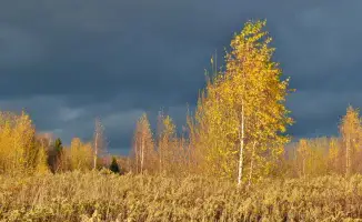 Циклон обрушился на Казахстан: резкое похолодание и дожди ожидаются 27 сентября