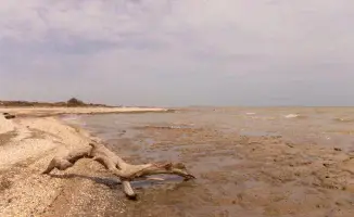 Каспийская ситуация: Токаев поднимает вопрос на саммите ШОС в Китае
