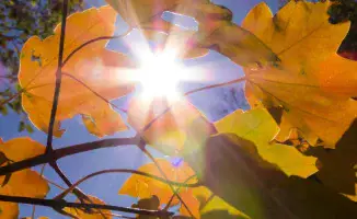 Казахстан готовится к жаре: температура до +37°C может повлиять на здоровье и повседневную жизнь граждан