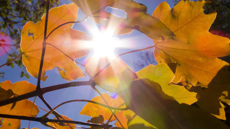 Казахстан готовится к жаре: температура до +37°C может повлиять на здоровье и повседневную жизнь граждан Павлодаре