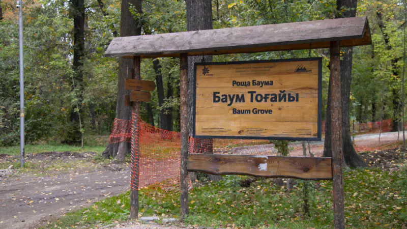 Бордюры и спиленные деревья: что происходит в роще Баума после начала благоустройства Павлодаре