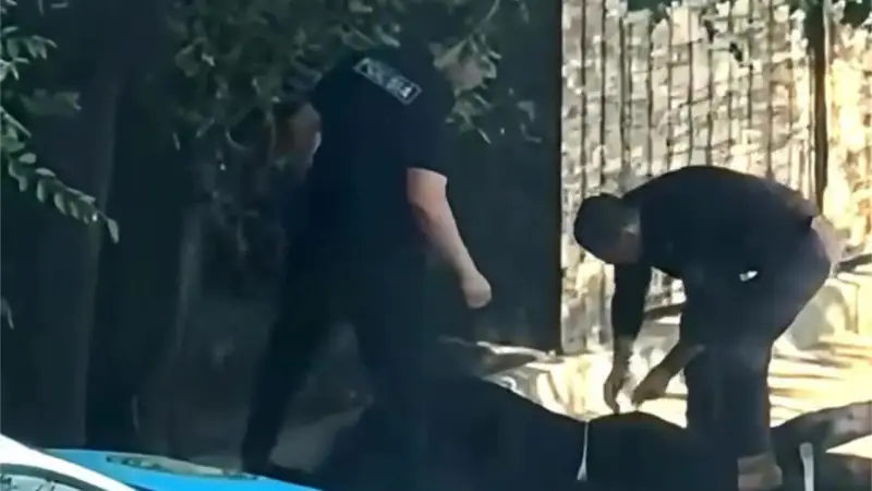 “Мы ничего не подбрасывали“ – полиция о нашумевшем видео задержания в Алматы Павлодаре