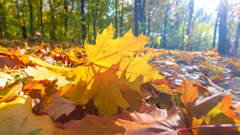 От жары до заморозков: казахстанцев предупредили о резком перепаде температур Павлодаре