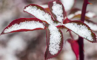 Осень “закончилась“: снежная волна накрывает Казахстан