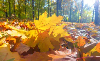 От жары до заморозков: казахстанцев предупредили о резком перепаде температур