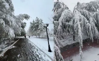 “Первый снег в Астане и Костанае“: как отреагировал Казнет