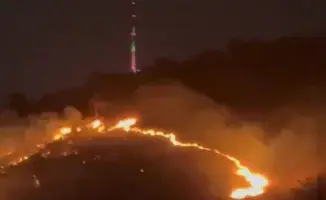 Склон горы загорелся в Алматы