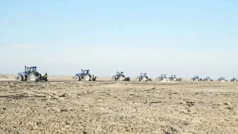 Началась осенняя посадка саксаула на осушенном дне Аральского моря (3)