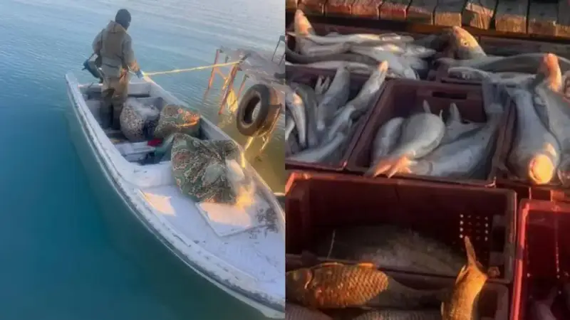 На озере Балхаш задержаны браконьеры с крупным уловом и запрещенной сетью Павлодаре