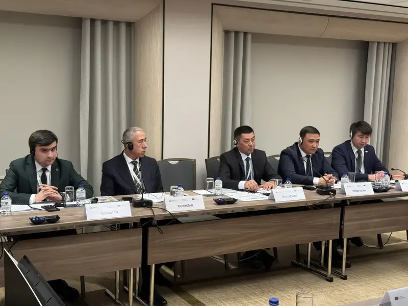 Заседание Консультативного совета PROTECT в Стамбуле участие Казахстана управление трудовой миграцией Павлодаре