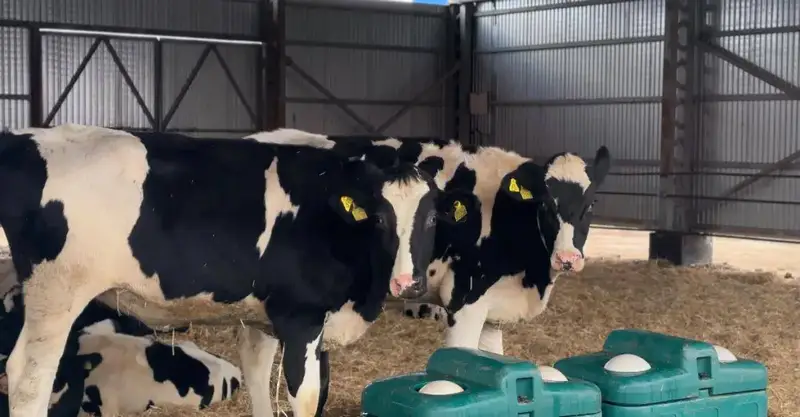 Государственная поддержка сельского хозяйства Актюбинской области 15 миллиардов тенге в 2025 году Павлодаре