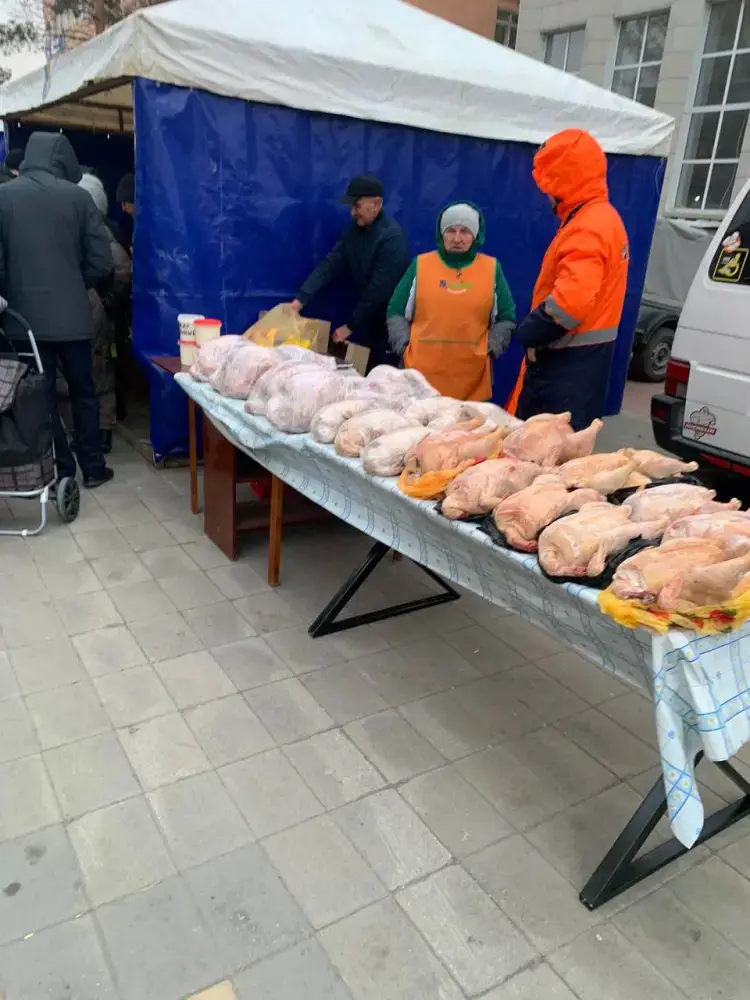 Сельскохозяйственная симфония: 332 тонны продукции от 90 мастеров в Костанае Павлодаре