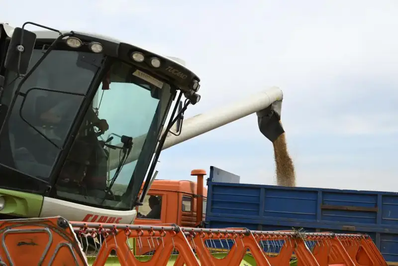 В Ескельдинском районе Жетісу на 1700 гектарах земли применяются влагосберегающие технологии (2)