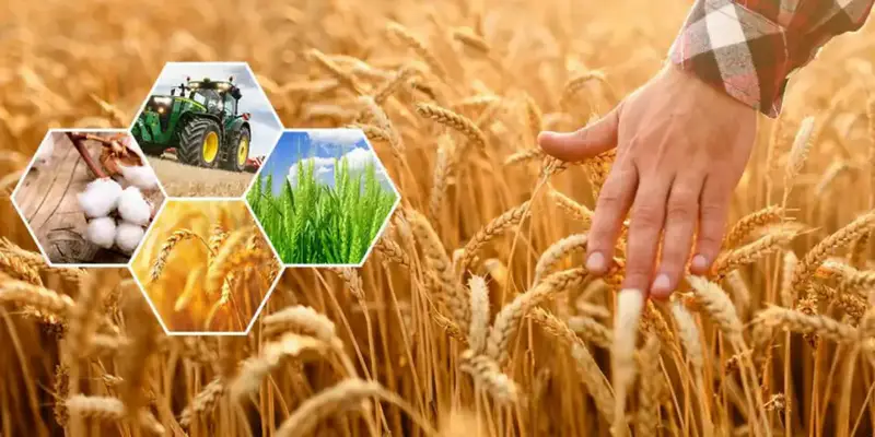 Сельское хозяйство Актюбинской области демонстрирует рост: 353 млрд тенге продукции и 7% увеличение поголовья скота Павлодаре