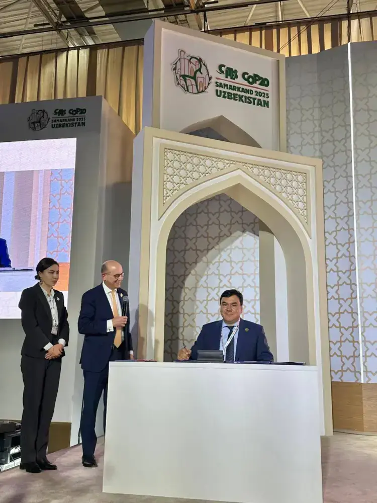 Обсуждено стратегическое воздействие CITES CoP20 (4)