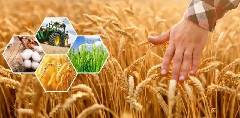 296,8 млрд тенге: Актюбинская область на сельхозвысоте! Павлодаре