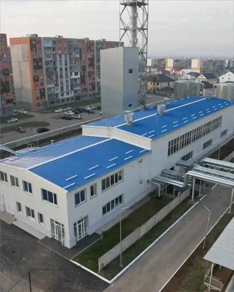 В Алматы на заседании Регионального штаба рассмотрены инвестиционные проекты (5)