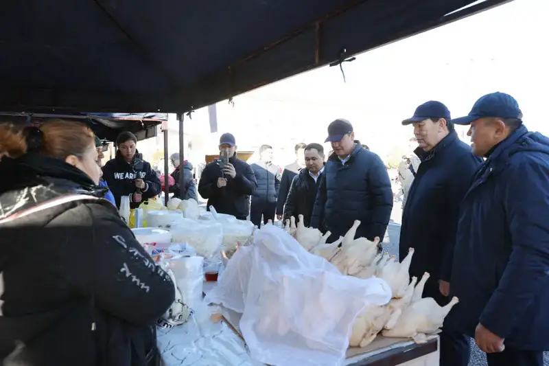 Ербол Карашукеев проверил цены и ассортимент на ярмарке в Таразе (2)