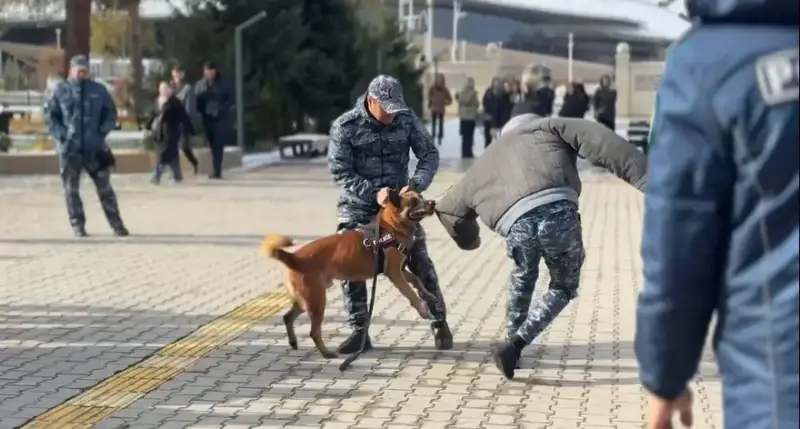 Студенты Жетысу узнали о вреде наркотиков и увидели навыки полицейской собаки Павлодаре