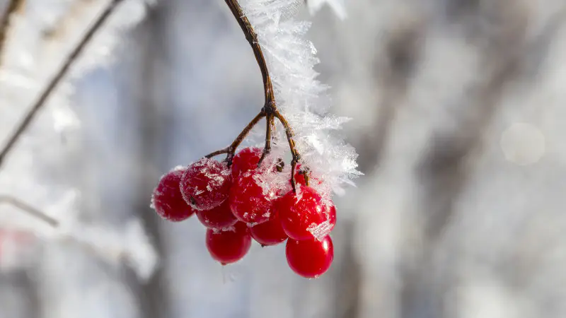 Казахстан замерзает: 20 градусов мороза на подходе! Павлодаре