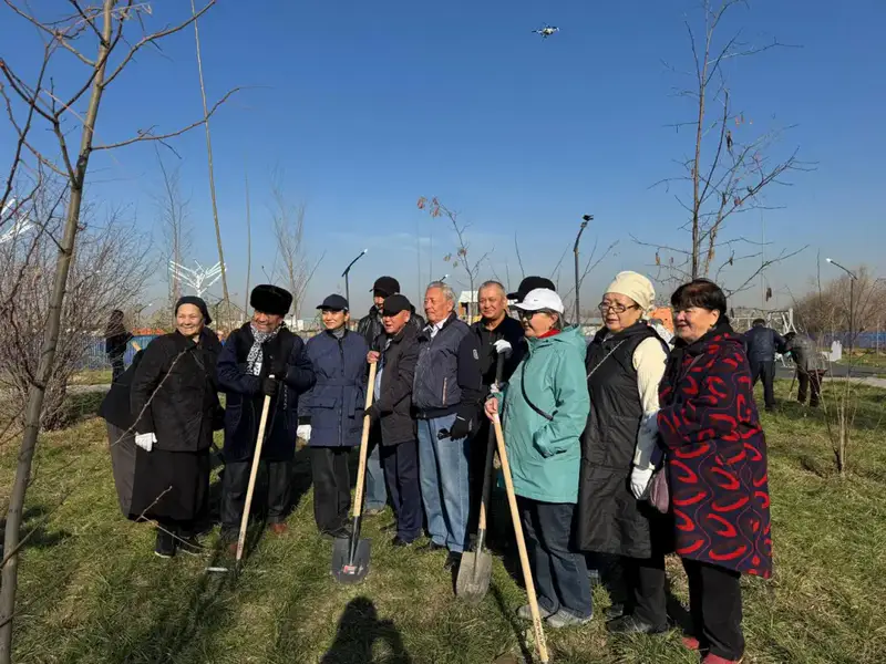 В Наурызбайском районе Алматы высажены 100 деревьев в сквере Акжар в рамках программы восстановления зелёных зон Павлодаре