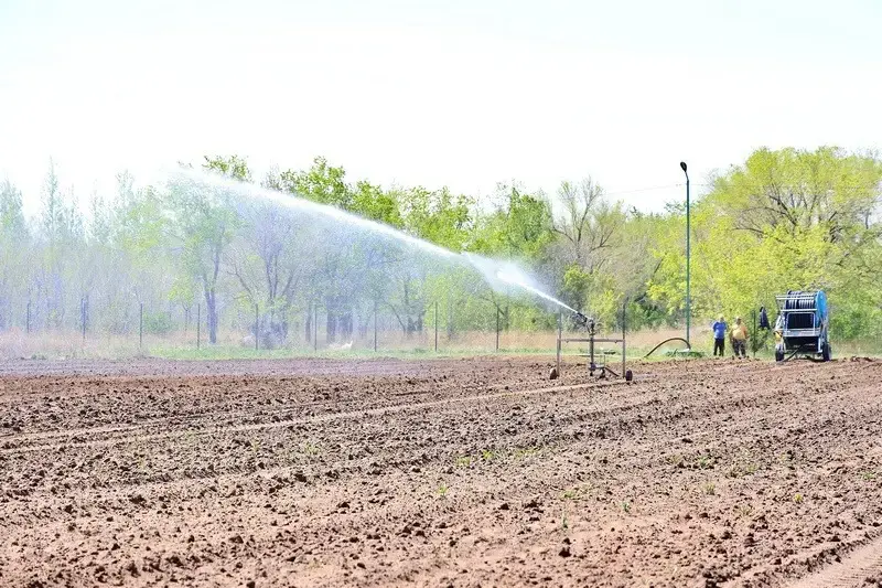 В Карагандинской области увеличивают площади зелёных насаждений (3)