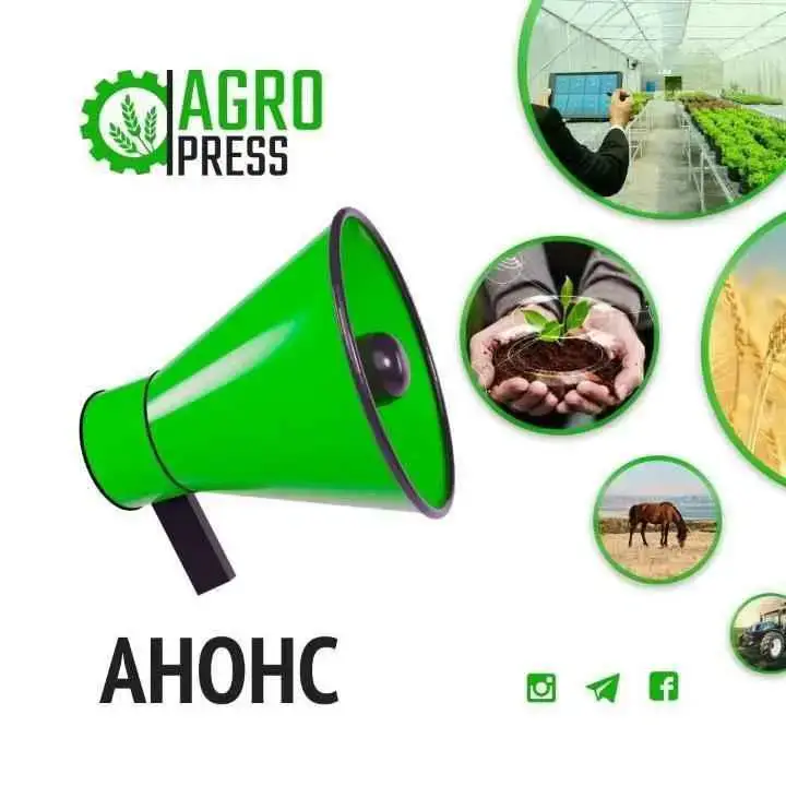 Встреча вице-министра с жителями Алматы Павлодаре