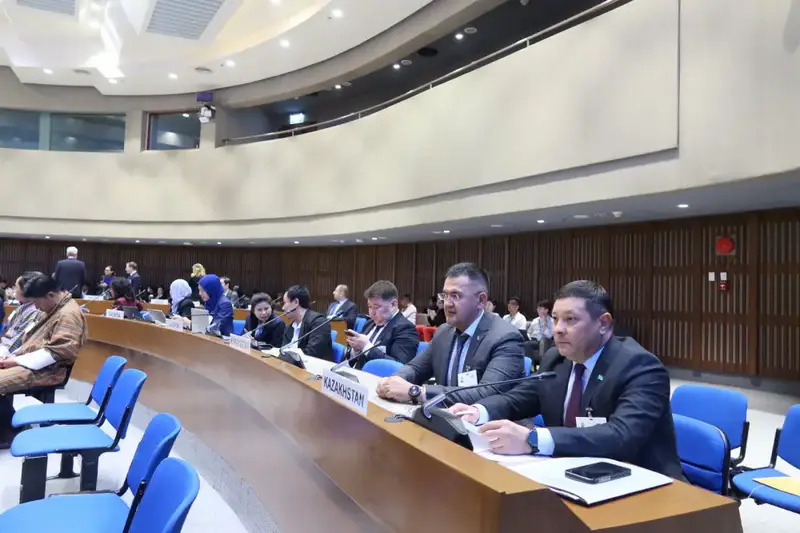 МЧС Казахстана принимает участие в Девятой сессии Комитета по снижению риска бедствий (3)