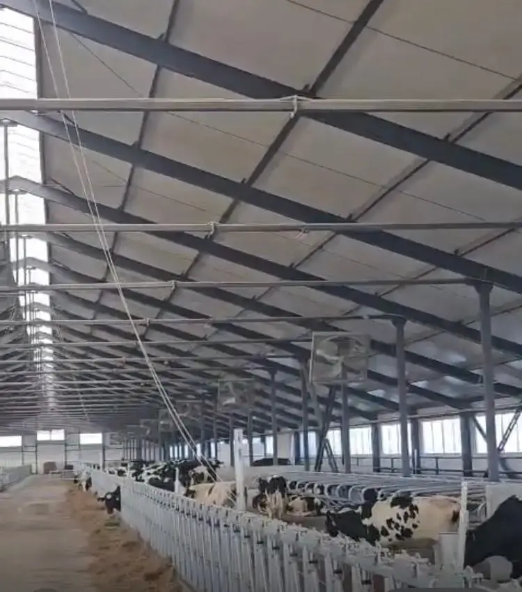 Первая партия племенных телок из Дании для молочного животноводства в Павлодарской области Павлодаре