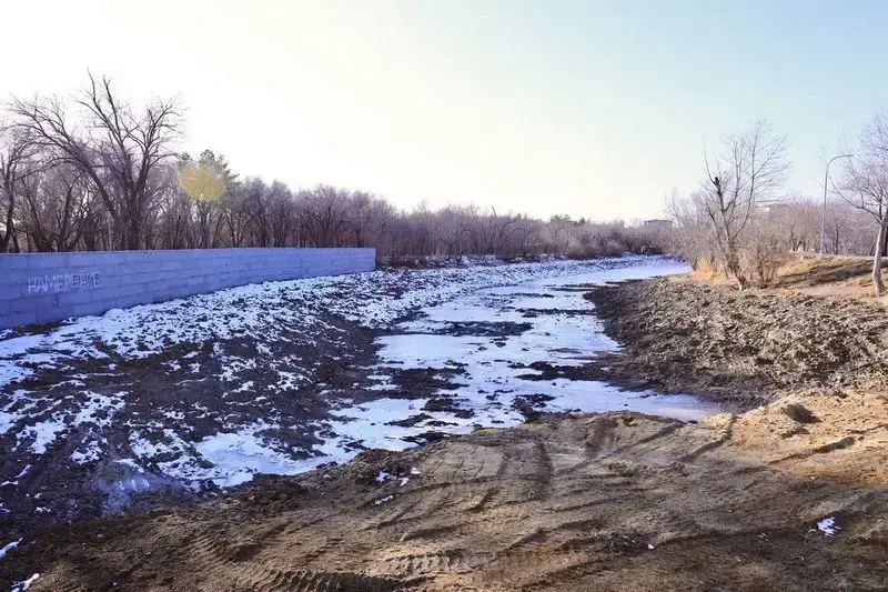 Инвентаризация деревьев и благоустройство Центрального парка Караганды Павлодаре