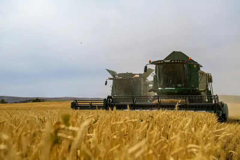 В Жетісу достигнута высокая степень переработки сельхозпродукции — 68% Павлодаре