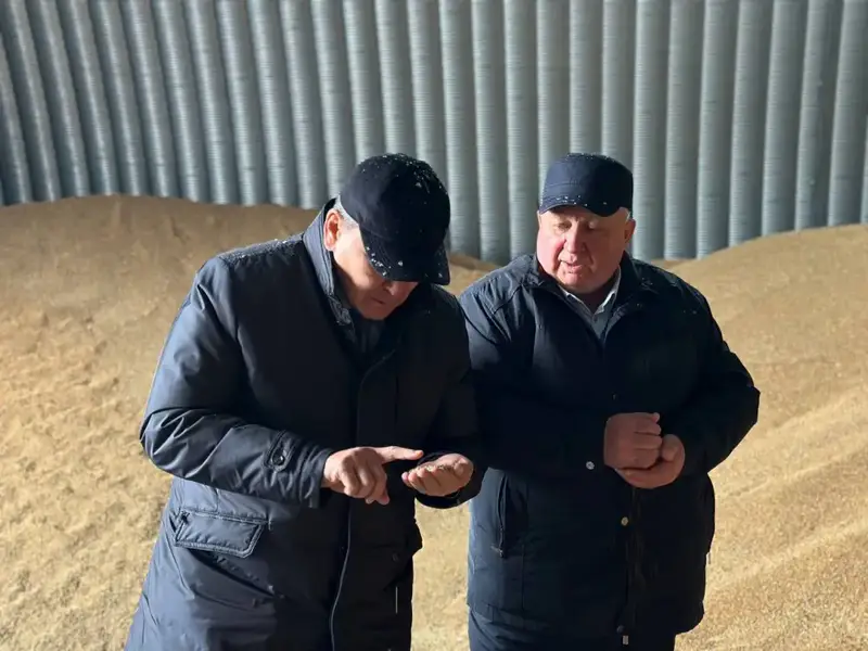 Кызылжарский район: развитие промышленности, социальной сферы и цифровизации (8)