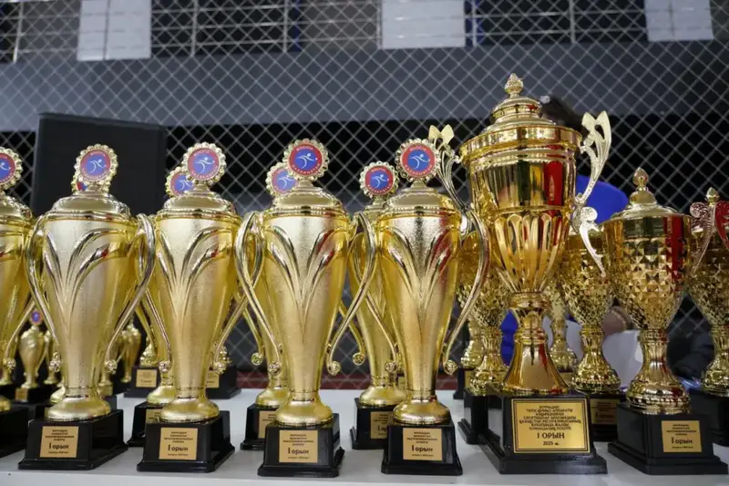 Церемония награждения Кубка Казахстана по бочча прошла в Астане с участием 120 параспортсменов Павлодаре