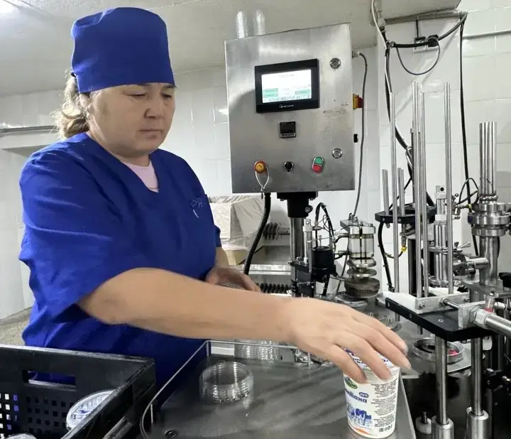 Сельхозпродукция Коксуского района 30,5 млрд тенге за 10 месяцев Павлодаре