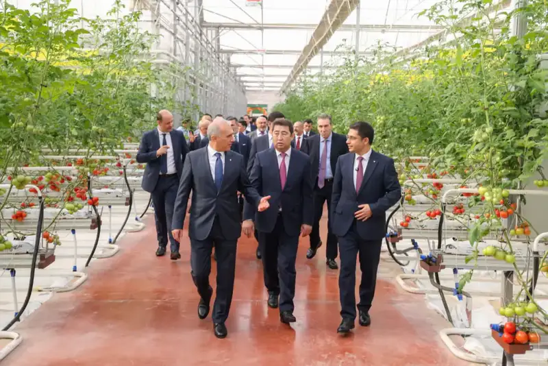 Тепличный комплекс «Alsera KZ» в Шымкенте создает рабочие места и улучшает продовольственную безопасность региона Павлодаре