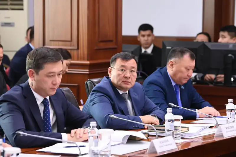 Курс на успех: правительство в шторме экономики Павлодаре