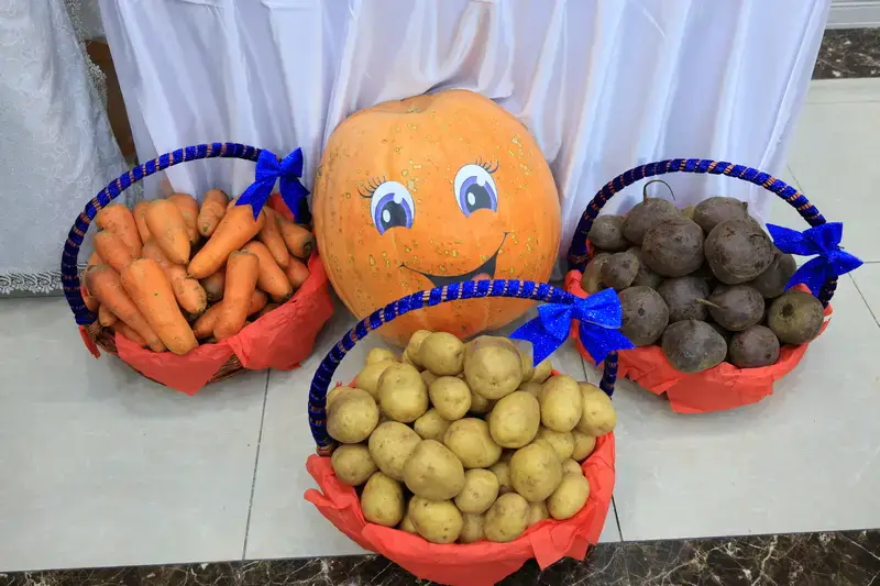 В Карагандинской области наградили лучших работников сельского хозяйства (7)