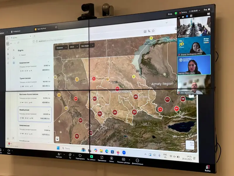 Запуск интеллектуальной системы мониторинга саранчовых вредителей: новые перспективы для защиты сельского хозяйства Павлодаре