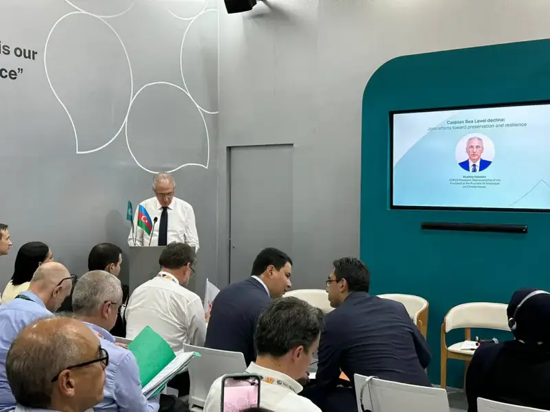 Снижение уровня Каспийского моря и сохранение экосистемы на COP30 Павлодаре