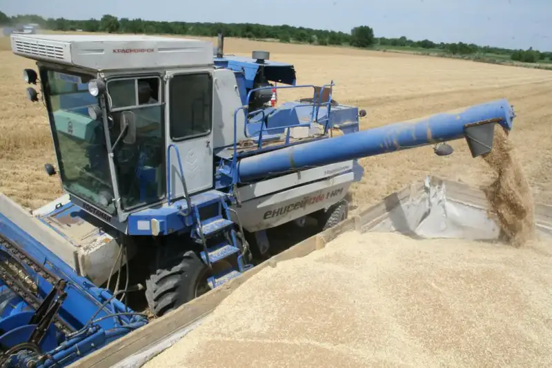 Сельское хозяйство Казахстана: рекорды и рост! Павлодаре