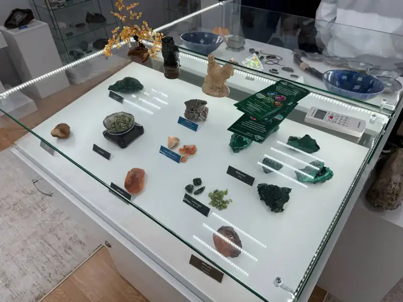 Школьники Алматы изучают минералы и госслужбу Павлодаре