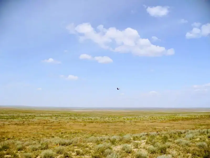 Успешное возвращение неиспользуемых сельскохозяйственных земель в Абайской области: шаг к развитию аграрного сектора региона Павлодаре