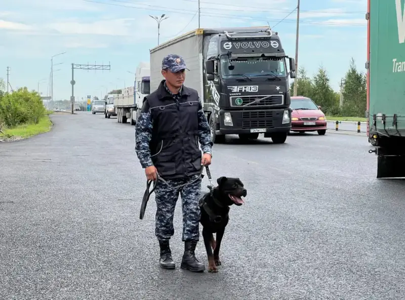 Задержание подозреваемого в хранении наркотиков: успех операции с участием служебной собаки в Астане Павлодаре